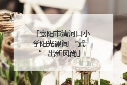 襄阳市清河口小学阳光课间 “武” 出新风尚