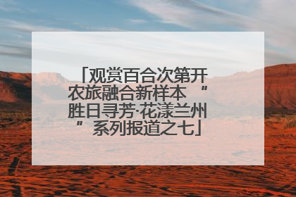 观赏百合次第开 农旅融合新样本 “胜日寻芳·花漾兰州”系列报道之七