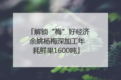解锁“梅”好经济 余姚杨梅深加工年耗鲜果1600吨