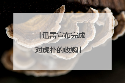 迅雷宣布完成对虎扑的收购