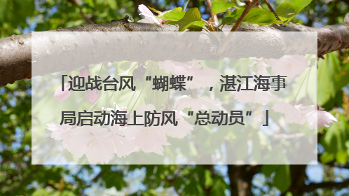 迎战台风“蝴蝶”，湛江海事局启动海上防风“总动员”