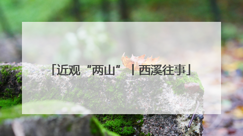 近观“两山”丨西溪往事