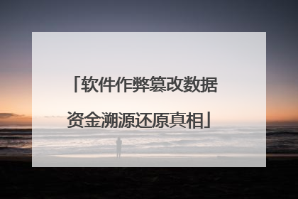 软件作弊篡改数据 资金溯源还原真相