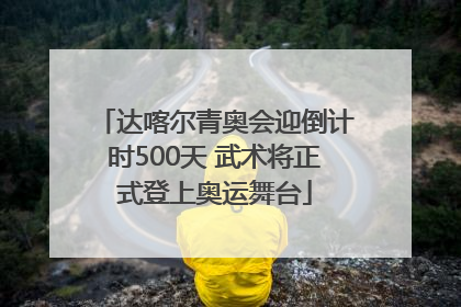 达喀尔青奥会迎倒计时500天 武术将正式登上奥运舞台