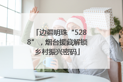 边疆明珠“5288”，烟台援藏解锁乡村振兴密码