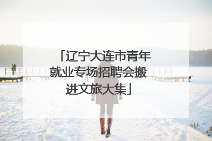 辽宁大连市青年就业专场招聘会搬进文旅大集
