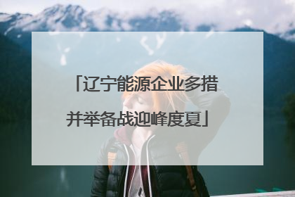 辽宁能源企业多措并举备战迎峰度夏