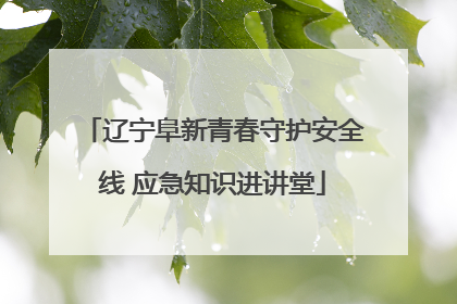 辽宁阜新青春守护安全线 应急知识进讲堂