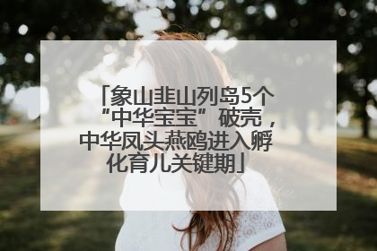 象山韭山列岛5个“中华宝宝”破壳，中华凤头燕鸥进入孵化育儿关键期