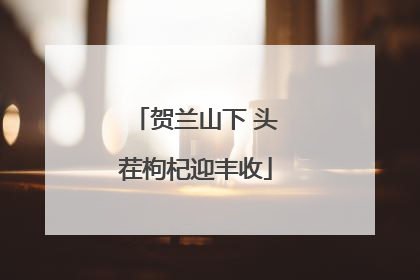 贺兰山下 头茬枸杞迎丰收