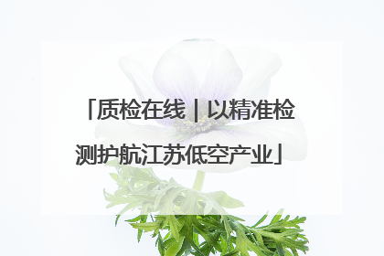 质检在线｜以精准检测护航江苏低空产业