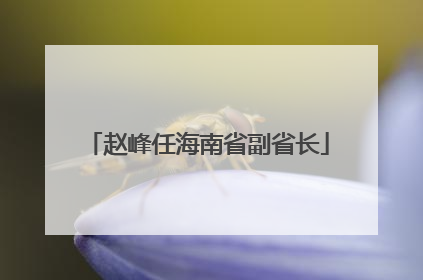 赵峰任海南省副省长