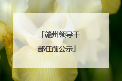赣州领导干部任前公示