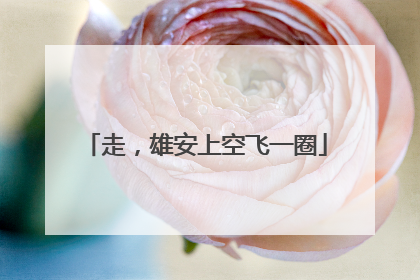 走，雄安上空飞一圈