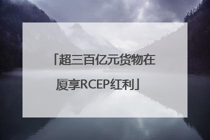 超三百亿元货物在厦享RCEP红利