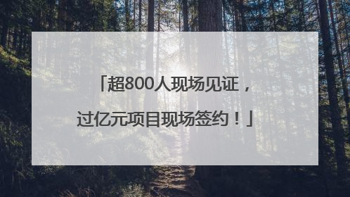 超800人现场见证，过亿元项目现场签约！