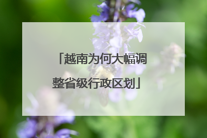 越南为何大幅调整省级行政区划