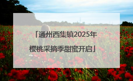 通州西集镇2025年樱桃采摘季甜蜜开启