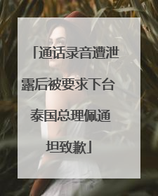 通话录音遭泄露后被要求下台 泰国总理佩通坦致歉