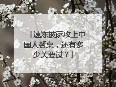 速冻披萨攻上中国人餐桌，还有多少关要过？
