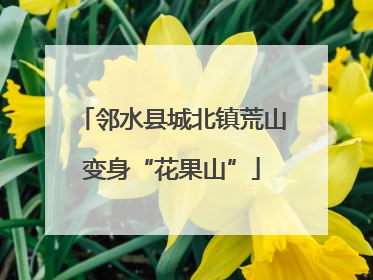邻水县城北镇荒山变身“花果山”