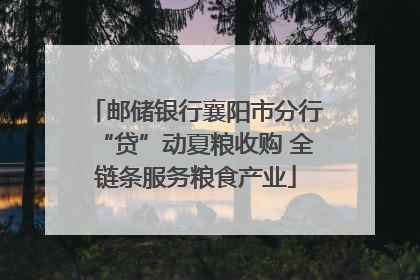 邮储银行襄阳市分行“贷”动夏粮收购 全链条服务粮食产业