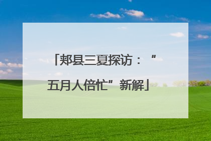 郏县三夏探访：“五月人倍忙”新解