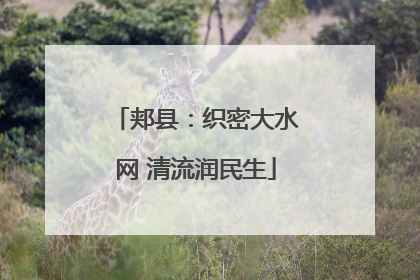 郏县：织密大水网 清流润民生