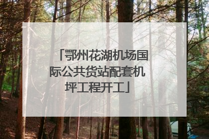鄂州花湖机场国际公共货站配套机坪工程开工