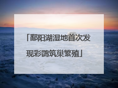 鄱阳湖湿地首次发现彩鹮筑巢繁殖
