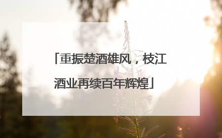 重振楚酒雄风，枝江酒业再续百年辉煌