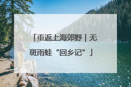 重返上海郊野｜无斑雨蛙“回乡记”