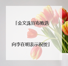 金文洙宣布败选 向李在明表示祝贺