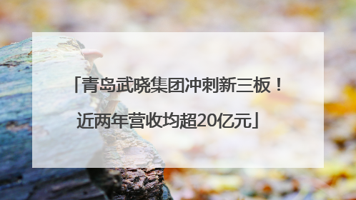 青岛武晓集团冲刺新三板！近两年营收均超20亿元