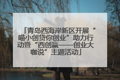 青岛西海岸新区开展“喵小创贷你创业”助力行动暨“西创赢——创业大咖说”主题活动