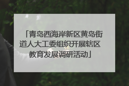 青岛西海岸新区黄岛街道人大工委组织开展辖区教育发展调研活动
