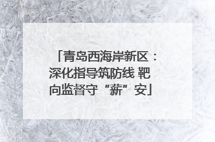 青岛西海岸新区：深化指导筑防线 靶向监督守“薪”安