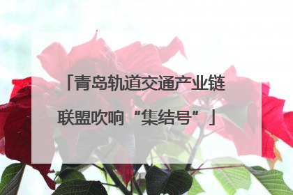 青岛轨道交通产业链联盟吹响“集结号”