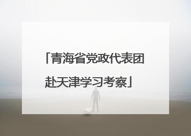 青海省党政代表团赴天津学习考察