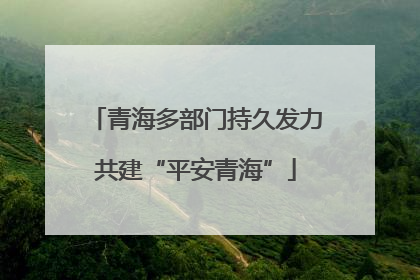 青海多部门持久发力共建“平安青海”