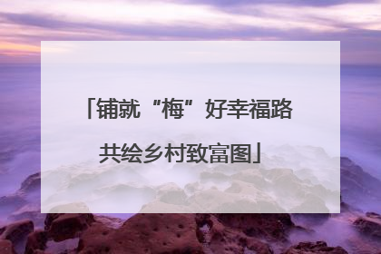 铺就“梅”好幸福路 共绘乡村致富图