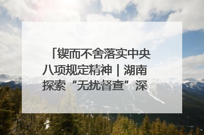 锲而不舍落实中央八项规定精神｜湖南探索“无扰督查”深化基层减负