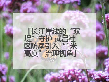 长江岸线的“双堤”守护 武昌社区防溺引入“1米高度”治理视角