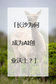 长沙为何成为AI创业沃土？