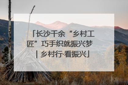 长沙千余“乡村工匠”巧手织就振兴梦｜乡村行·看振兴