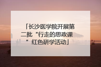 长沙医学院开展第二批“行走的思政课”红色研学活动