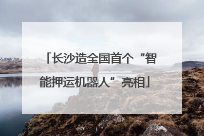长沙造全国首个“智能押运机器人”亮相