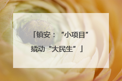 镇安：“小项目”撬动“大民生”
