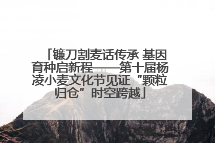 镰刀割麦话传承 基因育种启新程——第十届杨凌小麦文化节见证“颗粒归仓”时空跨越