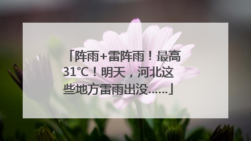 阵雨+雷阵雨！最高31℃！明天，河北这些地方雷雨出没……